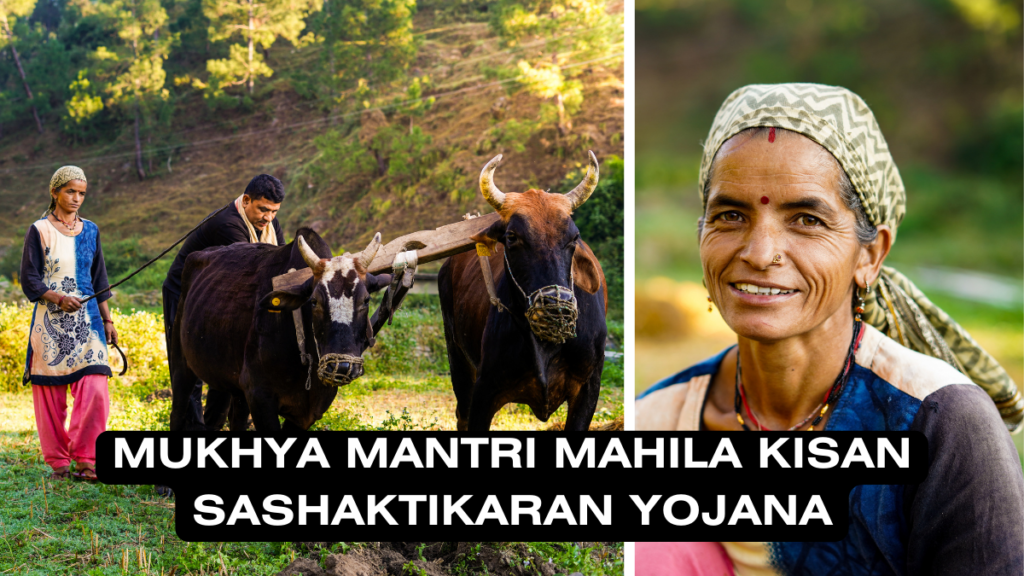 Mukhya Mantri Mahila Kisan Sashaktikaran Yojana